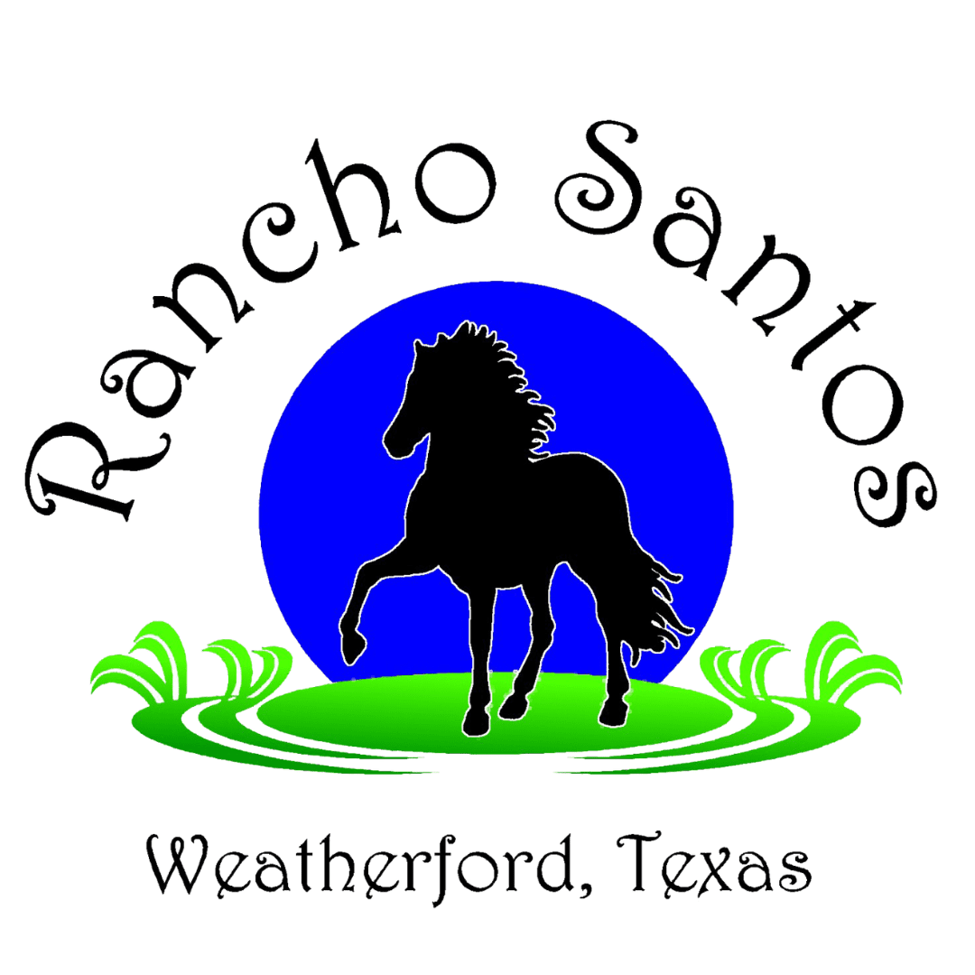 Lone Star Peruvian Horse Club – Peruvian Paso Horse Club